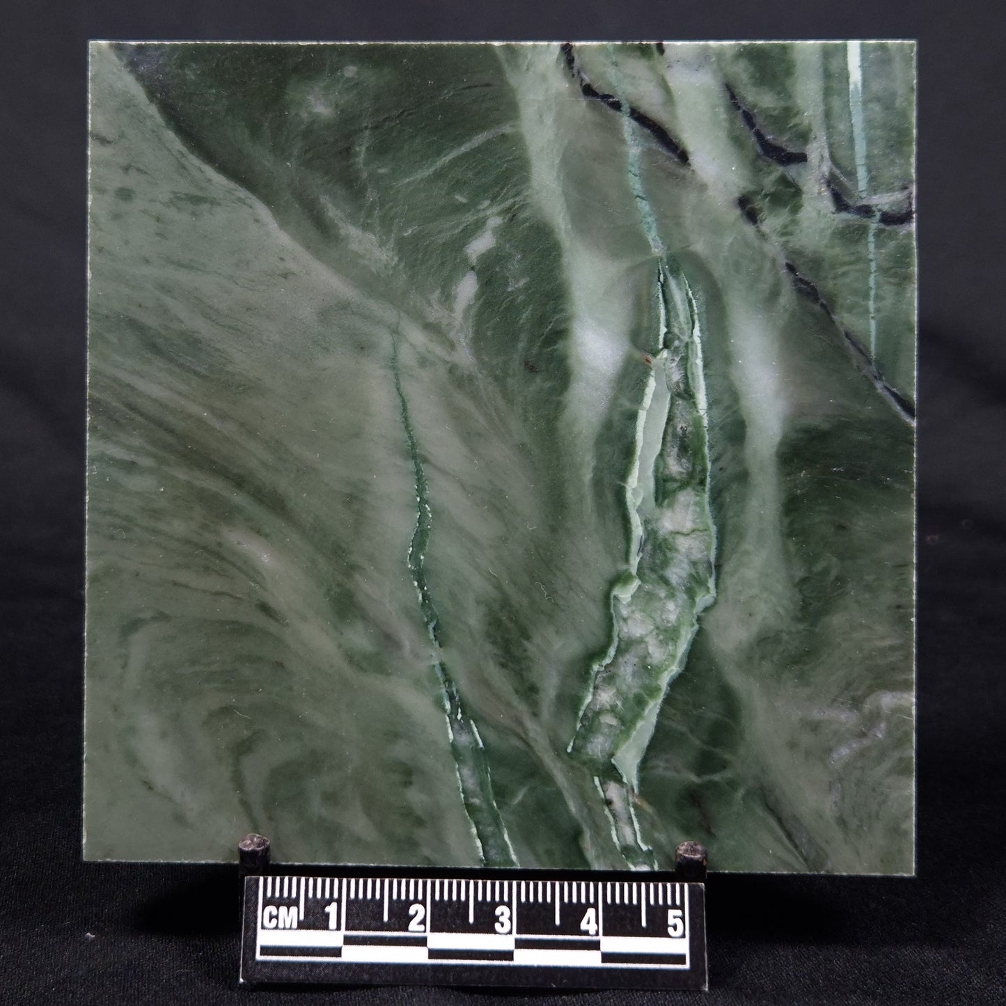 STROMATOLITE BAICALIA CAPRICORNIA, Mesoproterozoic, Australia ZBC007