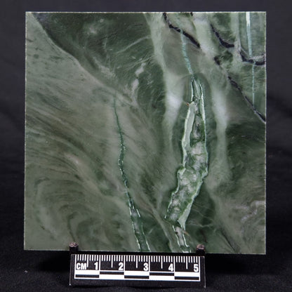 STROMATOLITE BAICALIA CAPRICORNIA, Mesoproterozoic, Australia ZBC007