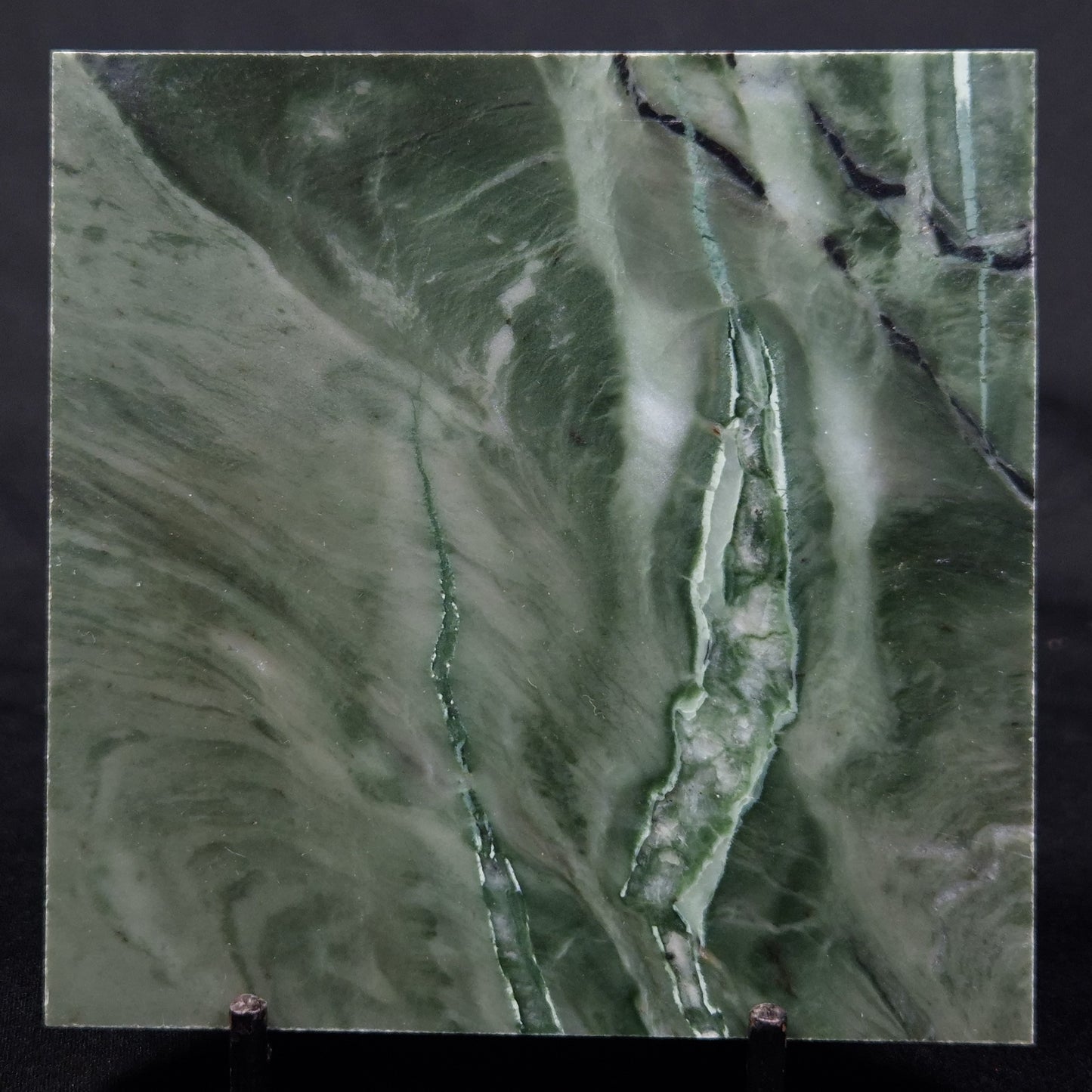 STROMATOLITE BAICALIA CAPRICORNIA, Mesoproterozoic, Australia ZBC007