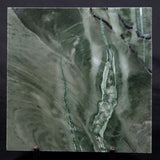 STROMATOLITE BAICALIA CAPRICORNIA, Mesoproterozoic, Australia ZBC007