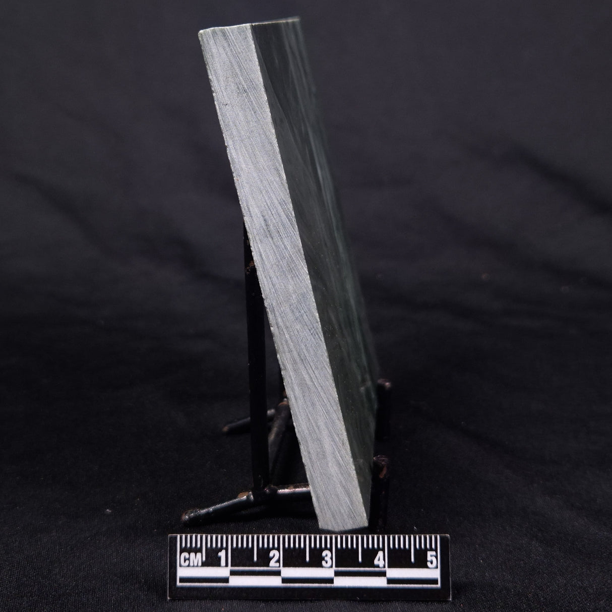 STROMATOLITE BAICALIA CAPRICORNIA, Mesoproterozoic, Australia ZBC007