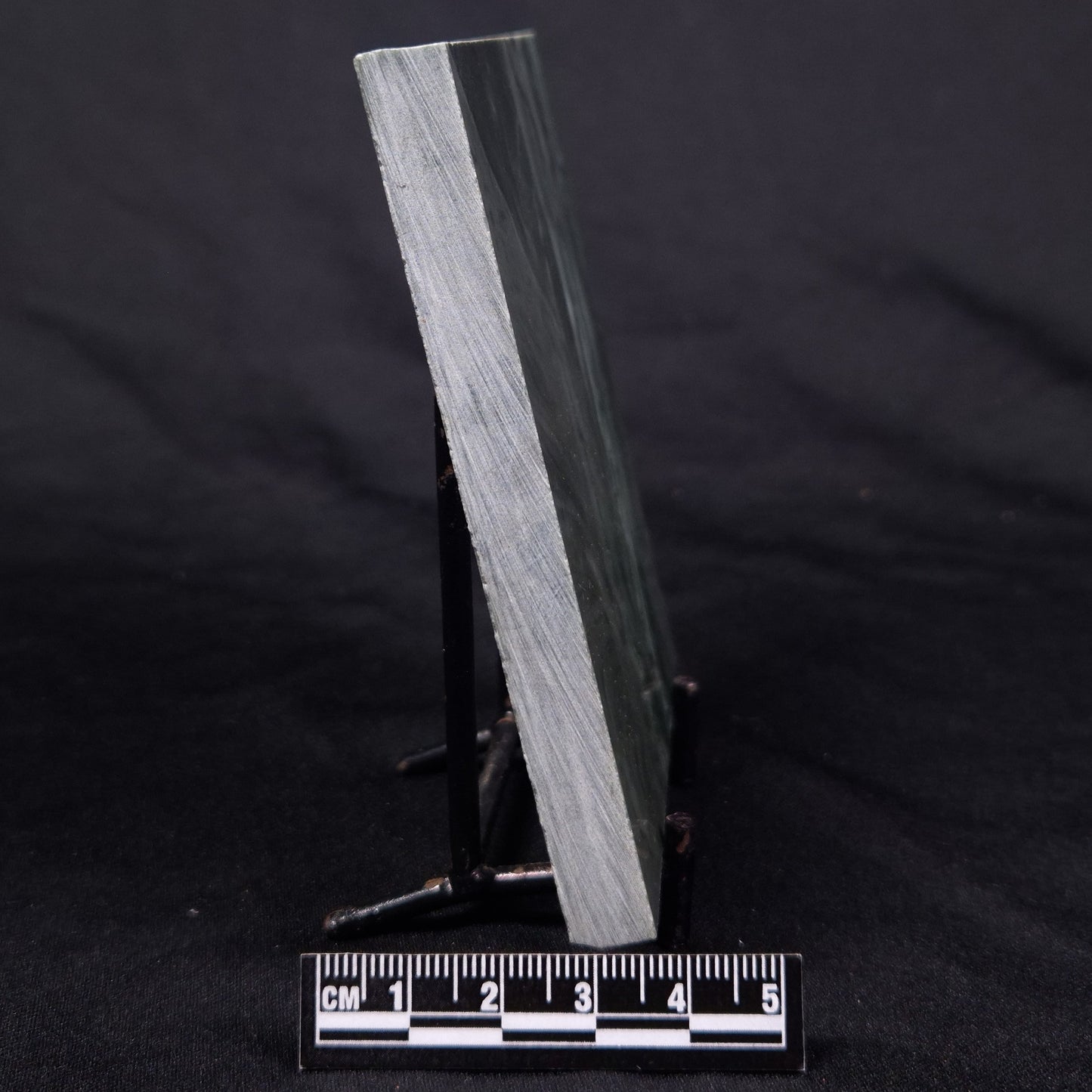 STROMATOLITE BAICALIA CAPRICORNIA, Mesoproterozoic, Australia ZBC007