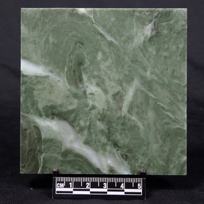 STROMATOLITE BAICALIA CAPRICORNIA, Mesoproterozoic, Australia ZBC008