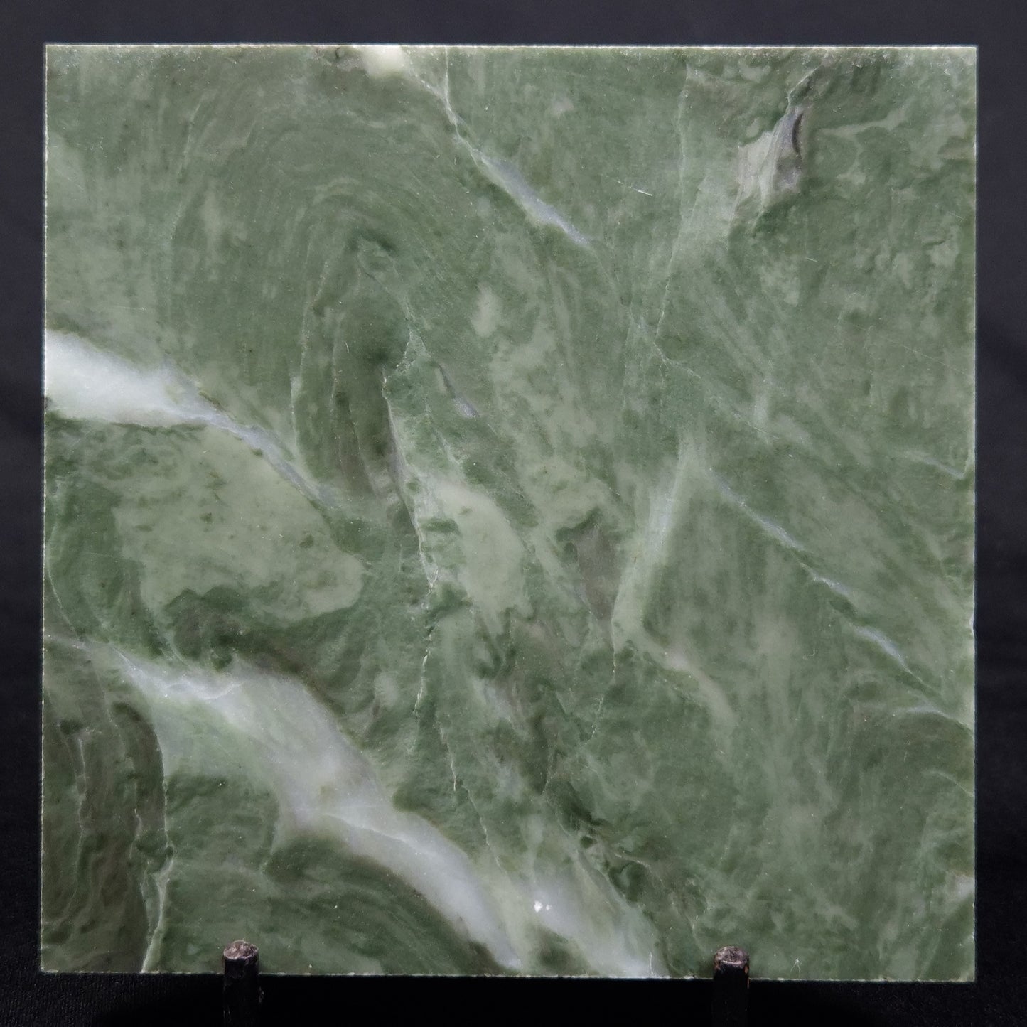 STROMATOLITE BAICALIA CAPRICORNIA, Mesoproterozoic, Australia ZBC008