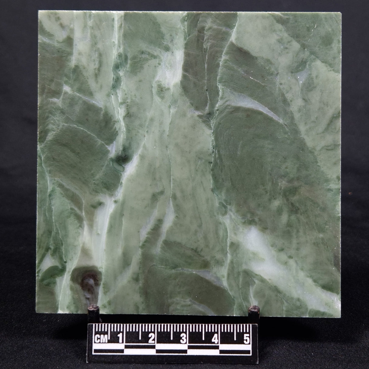 STROMATOLITE BAICALIA CAPRICORNIA, Mesoproterozoic, Australia ZBC009