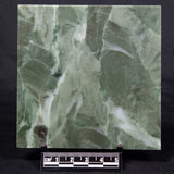 STROMATOLITE BAICALIA CAPRICORNIA, Mesoproterozoic, Australia ZBC009