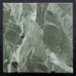 STROMATOLITE BAICALIA CAPRICORNIA, Mesoproterozoic, Australia ZBC009