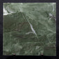 STROMATOLITE BAICALIA CAPRICORNIA, Mesoproterozoic, Australia ZBC011