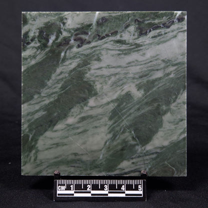 STROMATOLITE BAICALIA CAPRICORNIA, Mesoproterozoic, Australia ZBC012