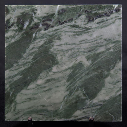 STROMATOLITE BAICALIA CAPRICORNIA, Mesoproterozoic, Australia ZBC012