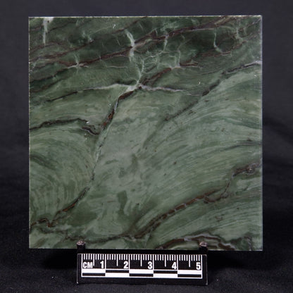 STROMATOLITE BAICALIA CAPRICORNIA, Mesoproterozoic, Australia ZBC013