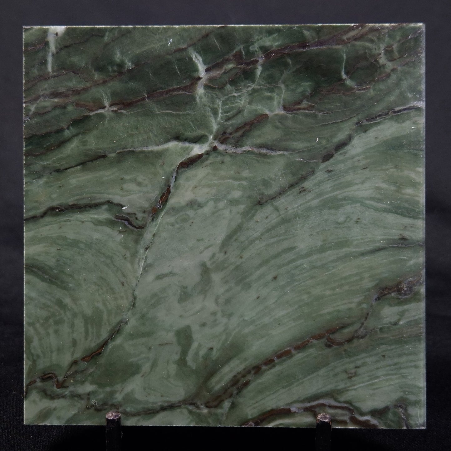 STROMATOLITE BAICALIA CAPRICORNIA, Mesoproterozoic, Australia ZBC013