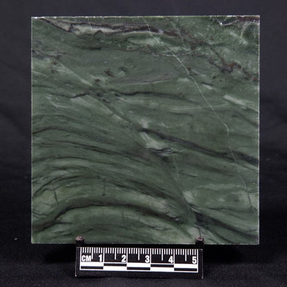 STROMATOLITE BAICALIA CAPRICORNIA, Mesoproterozoic, Australia ZBC014
