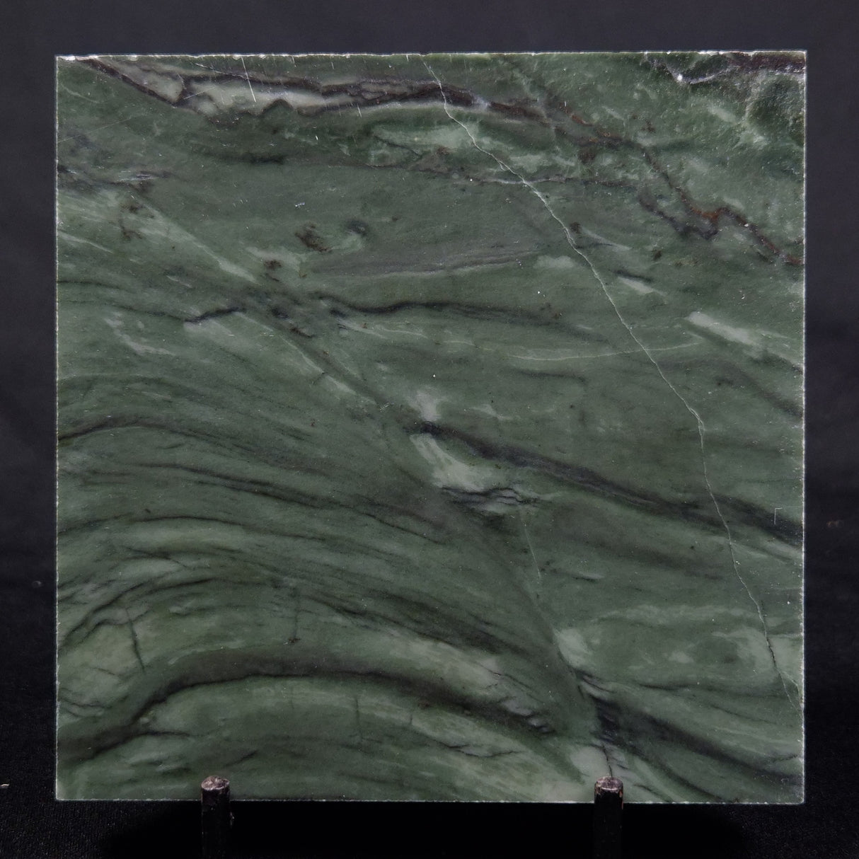 STROMATOLITE BAICALIA CAPRICORNIA, Mesoproterozoic, Australia ZBC014