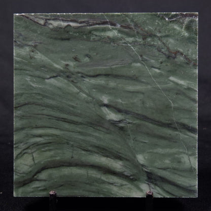 STROMATOLITE BAICALIA CAPRICORNIA, Mesoproterozoic, Australia ZBC014