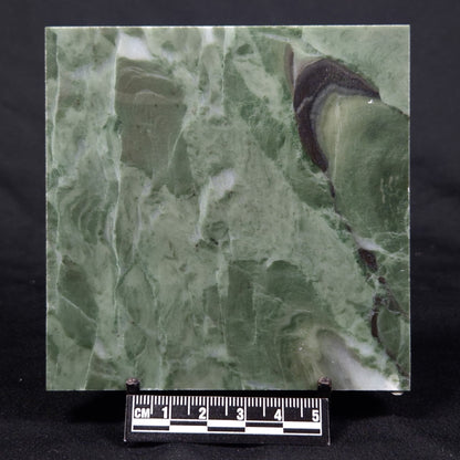 STROMATOLITE BAICALIA CAPRICORNIA, Mesoproterozoic, Australia ZBC015