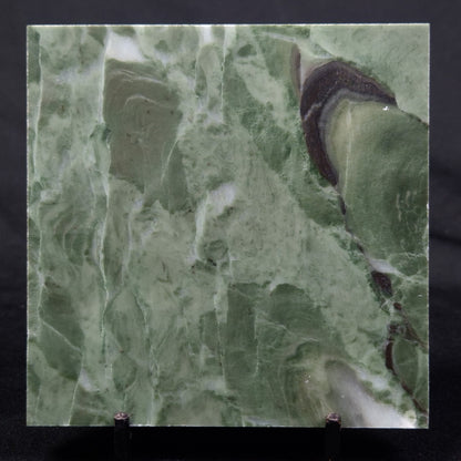 STROMATOLITE BAICALIA CAPRICORNIA, Mesoproterozoic, Australia ZBC015
