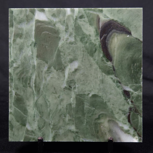 STROMATOLITE BAICALIA CAPRICORNIA, Mesoproterozoic, Australia ZBC015