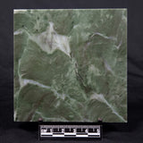 STROMATOLITE BAICALIA CAPRICORNIA, Mesoproterozoic, Australia ZBC016