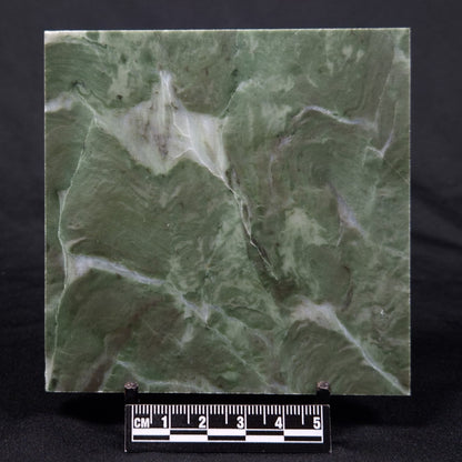 STROMATOLITE BAICALIA CAPRICORNIA, Mesoproterozoic, Australia ZBC016