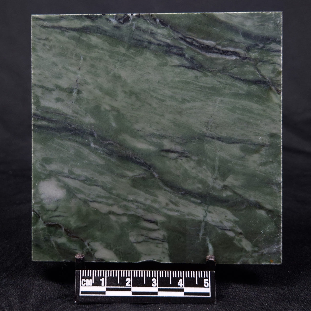 STROMATOLITE BAICALIA CAPRICORNIA, Mesoproterozoic, Australia ZBC017
