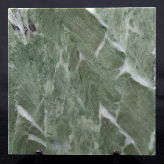 STROMATOLITE BAICALIA CAPRICORNIA, Mesoproterozoic, Australia ZBC018
