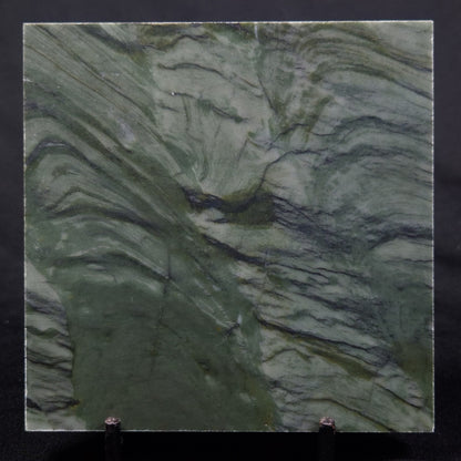 STROMATOLITE BAICALIA CAPRICORNIA, Mesoproterozoic, Australia ZBC019