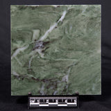 STROMATOLITE BAICALIA CAPRICORNIA, Mesoproterozoic, Australia ZBC020