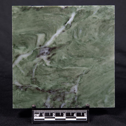 STROMATOLITE BAICALIA CAPRICORNIA, Mesoproterozoic, Australia ZBC020