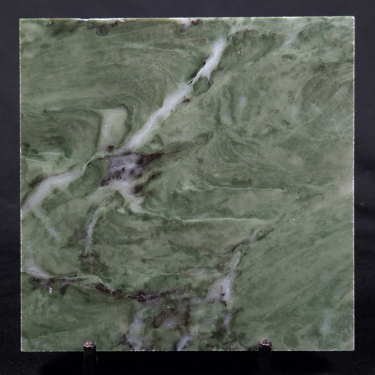 STROMATOLITE BAICALIA CAPRICORNIA, Mesoproterozoic, Australia ZBC020