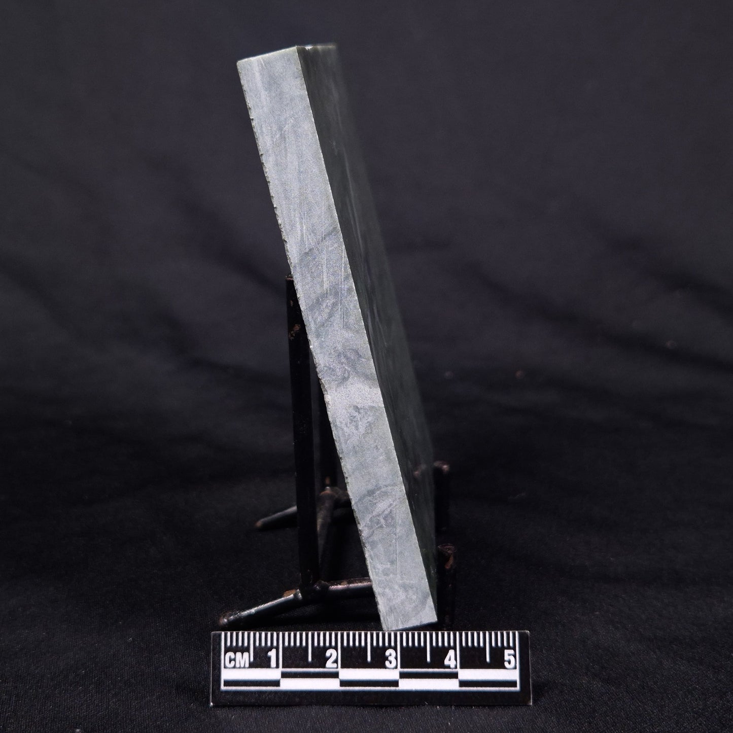 STROMATOLITE BAICALIA CAPRICORNIA, Mesoproterozoic, Australia ZBC020