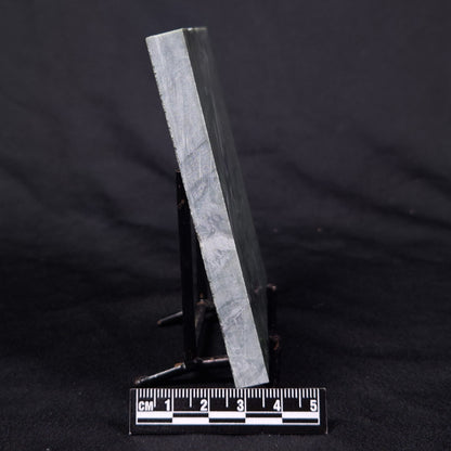 STROMATOLITE BAICALIA CAPRICORNIA, Mesoproterozoic, Australia ZBC020