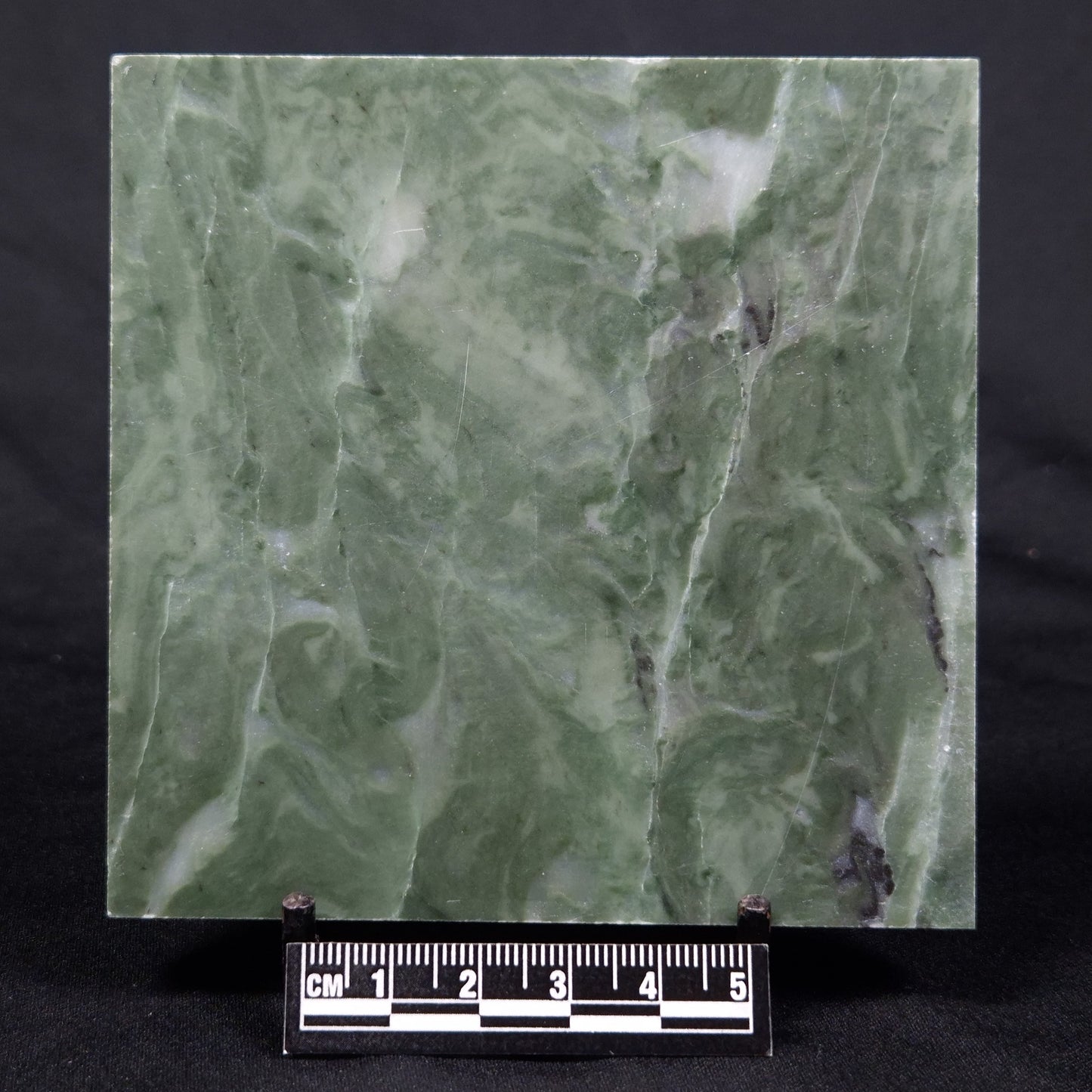 STROMATOLITE BAICALIA CAPRICORNIA, Mesoproterozoic, Australia ZBC021