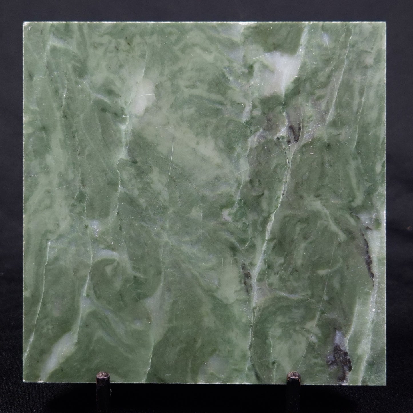 STROMATOLITE BAICALIA CAPRICORNIA, Mesoproterozoic, Australia ZBC021