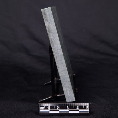 STROMATOLITE BAICALIA CAPRICORNIA, Mesoproterozoic, Australia ZBC021