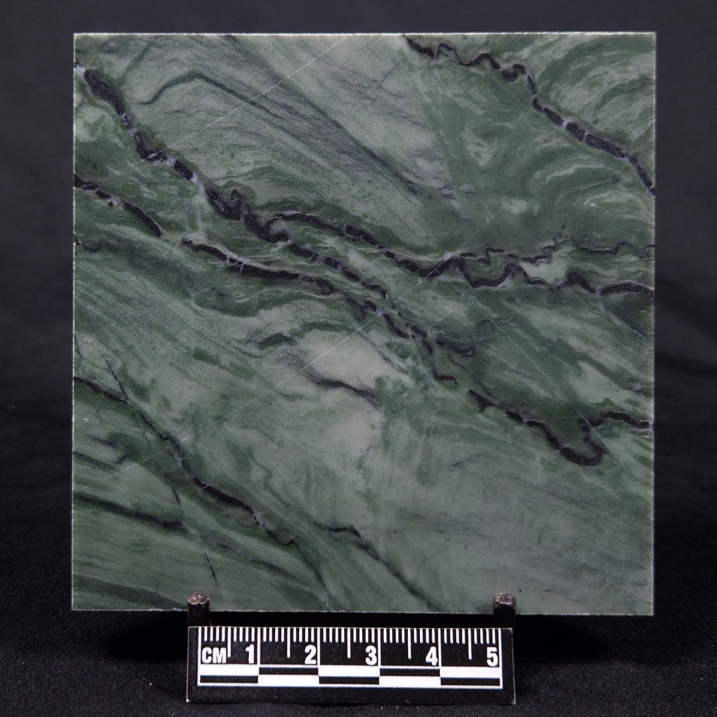 STROMATOLITE BAICALIA CAPRICORNIA, Mesoproterozoic, Australia ZBC022