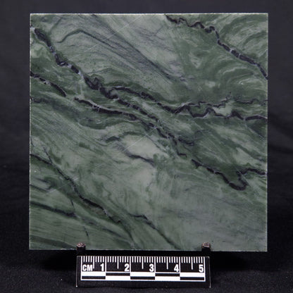 STROMATOLITE BAICALIA CAPRICORNIA, Mesoproterozoic, Australia ZBC022