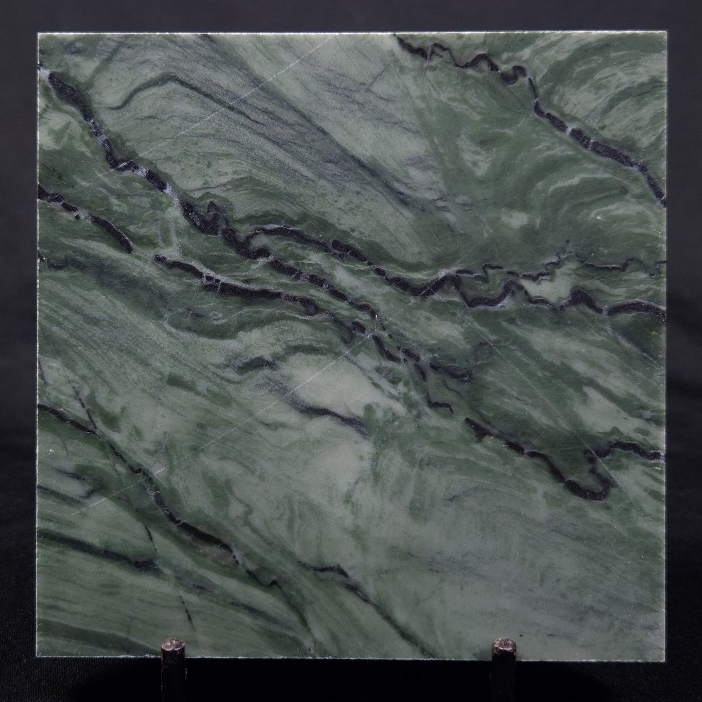 STROMATOLITE BAICALIA CAPRICORNIA, Mesoproterozoic, Australia ZBC022