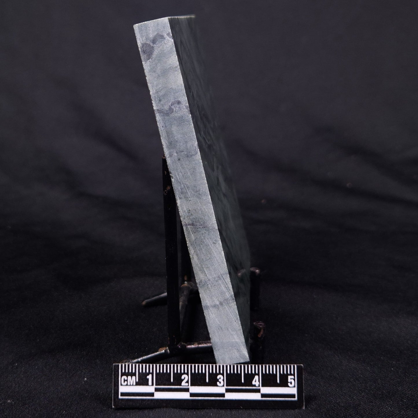 STROMATOLITE BAICALIA CAPRICORNIA, Mesoproterozoic, Australia ZBC022