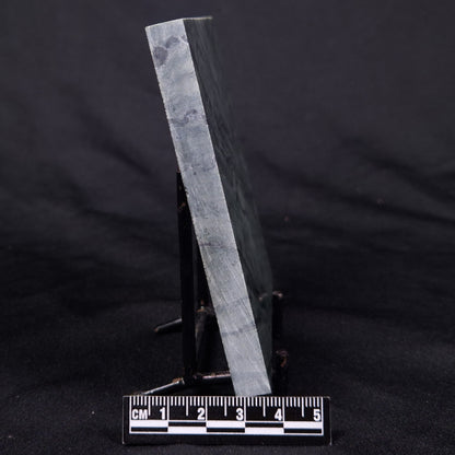 STROMATOLITE BAICALIA CAPRICORNIA, Mesoproterozoic, Australia ZBC022