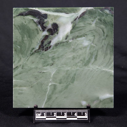 STROMATOLITE BAICALIA CAPRICORNIA, Mesoproterozoic, Australia ZBC023