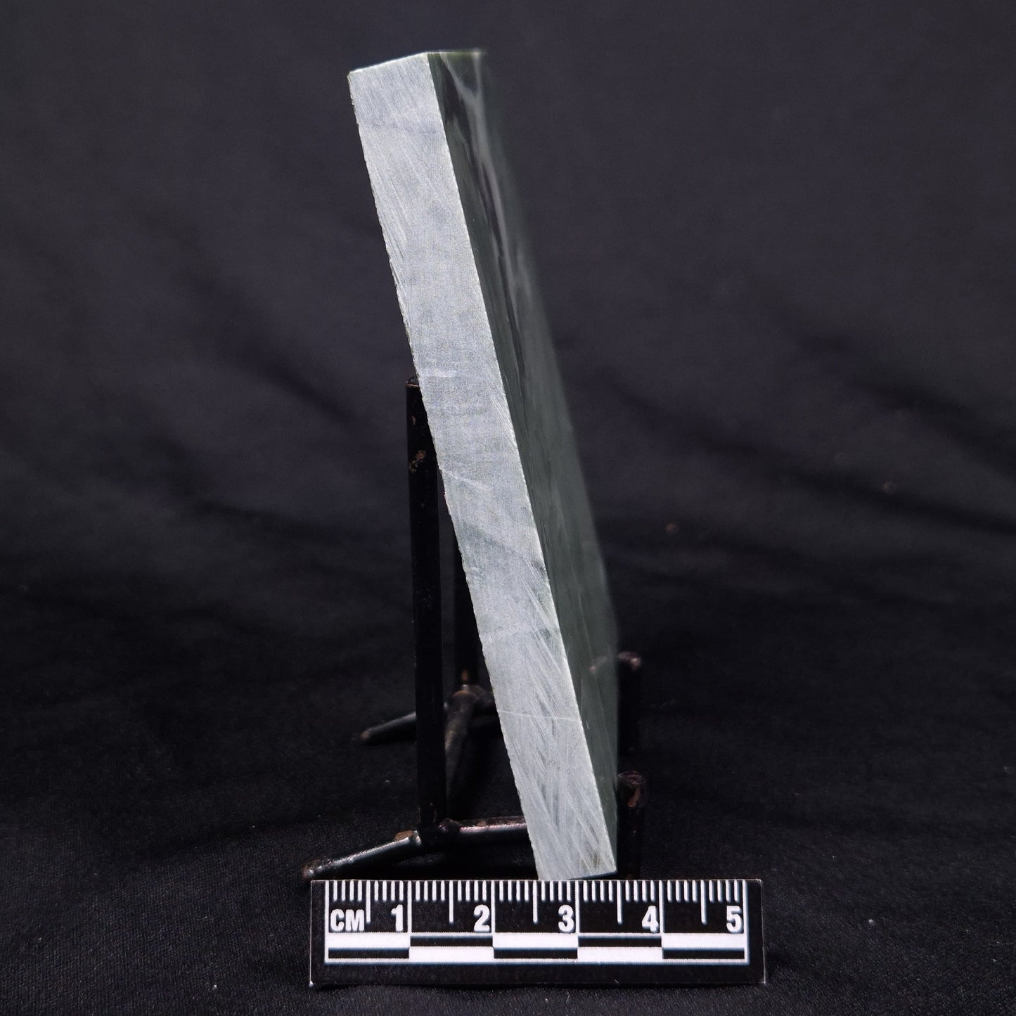 STROMATOLITE BAICALIA CAPRICORNIA, Mesoproterozoic, Australia ZBC023