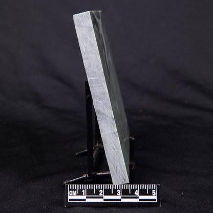 STROMATOLITE BAICALIA CAPRICORNIA, Mesoproterozoic, Australia ZBC023