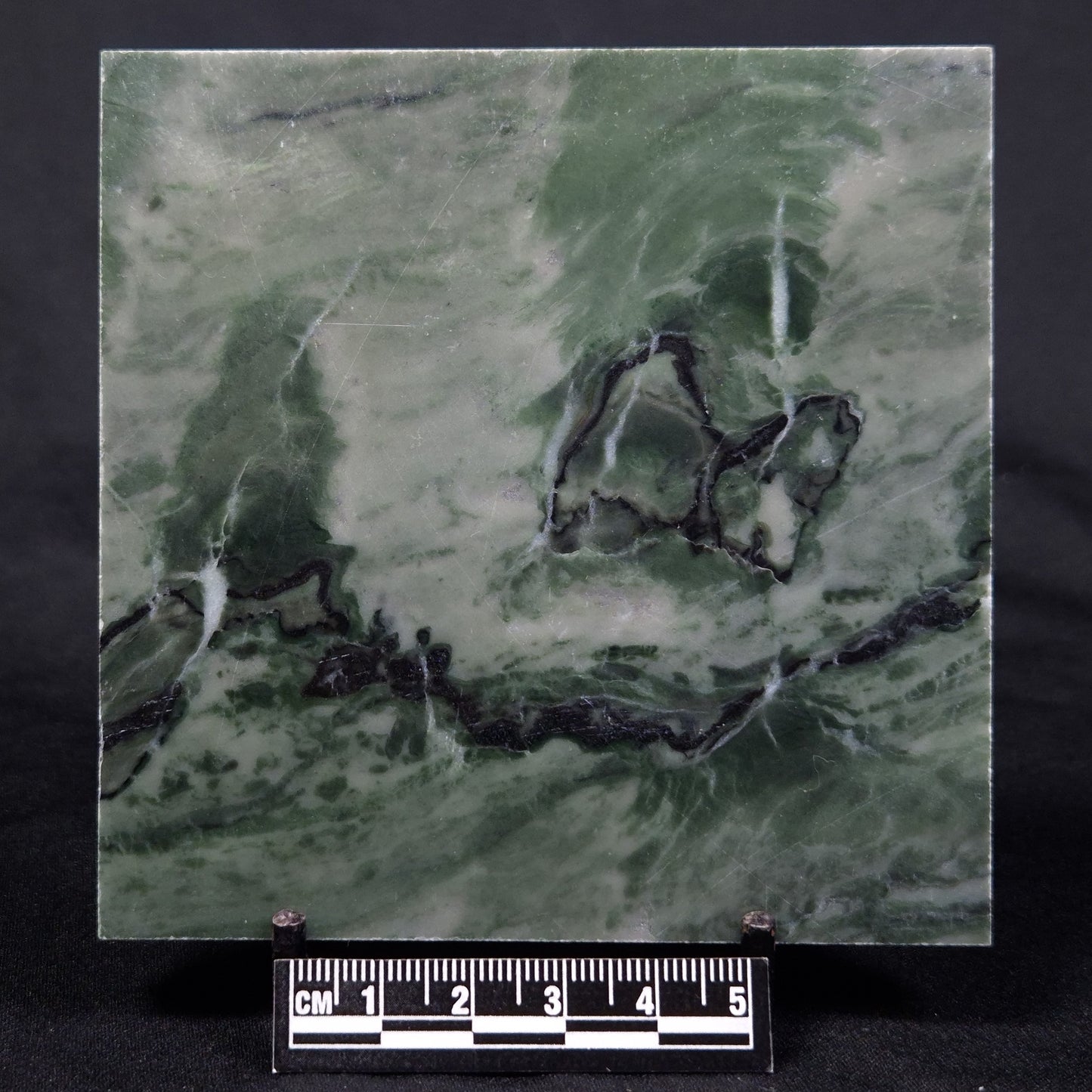 STROMATOLITE BAICALIA CAPRICORNIA, Mesoproterozoic, Australia ZBC024