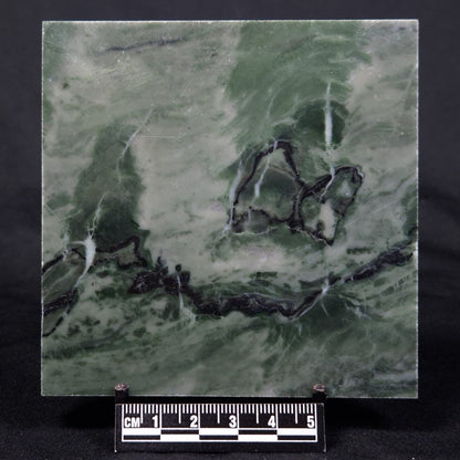 STROMATOLITE BAICALIA CAPRICORNIA, Mesoproterozoic, Australia ZBC024