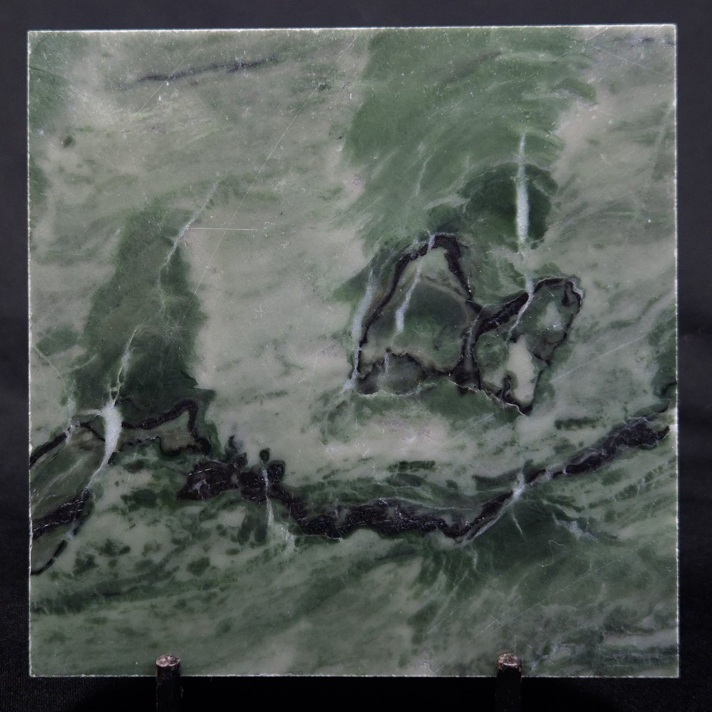 STROMATOLITE BAICALIA CAPRICORNIA, Mesoproterozoic, Australia ZBC024