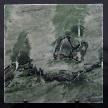 STROMATOLITE BAICALIA CAPRICORNIA, Mesoproterozoic, Australia ZBC024