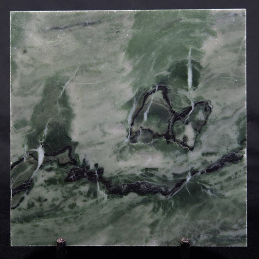 STROMATOLITE BAICALIA CAPRICORNIA, Mesoproterozoic, Australia ZBC024