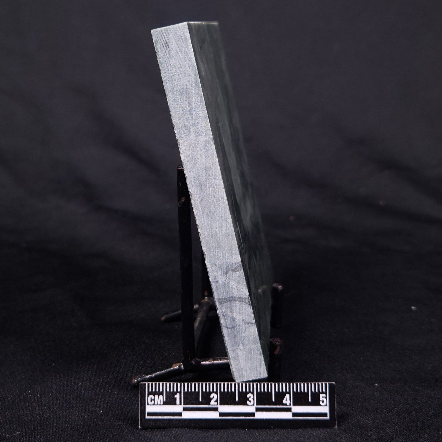 STROMATOLITE BAICALIA CAPRICORNIA, Mesoproterozoic, Australia ZBC024