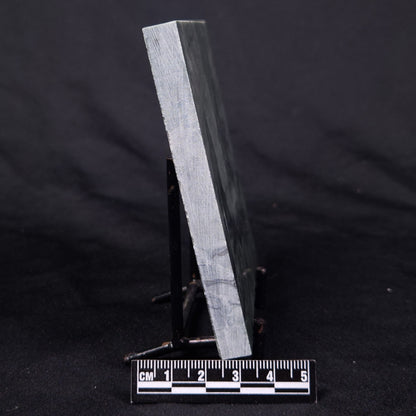 STROMATOLITE BAICALIA CAPRICORNIA, Mesoproterozoic, Australia ZBC024